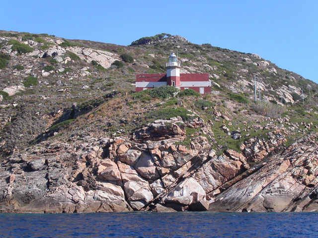 Giglio 21