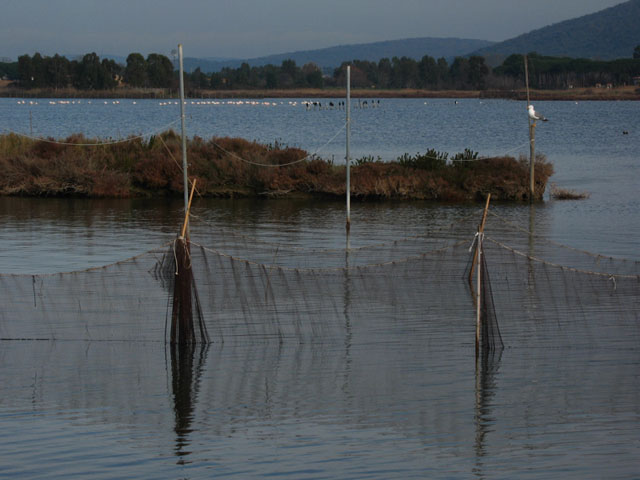 Laguna 28